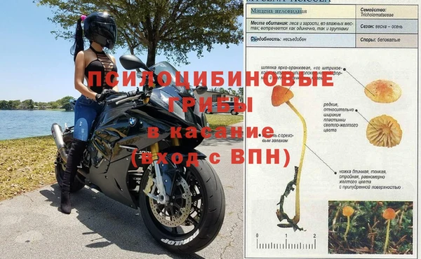 ешки Беломорск